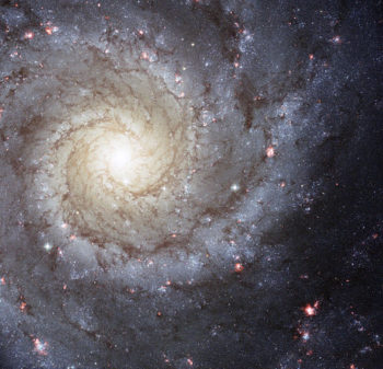 Figura 4. M74, una de las cien mil millones de galaxias, verdaderos “Universos Isla” como las llamó el filósofo Kant (1724-1804), a distancias increíblemente lejanas.