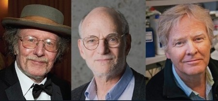 Jeffrey C. Hall, Michael Rosbash y Michael W. Young