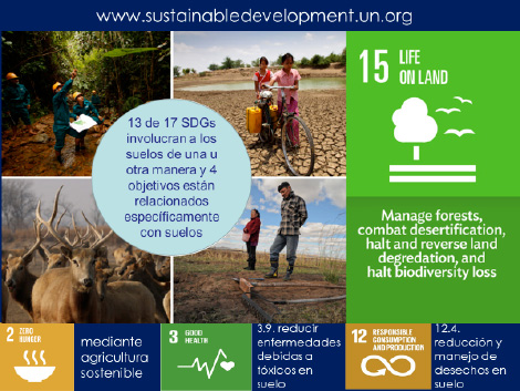 Figura 1: Ejemplo de algunas de las 17 metas de Naciones Unidas para el Desarrollo Sustentable (SDG), relacionadas con Suelos.